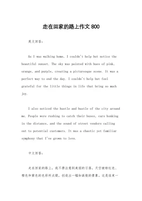 走在回家的路上作文800