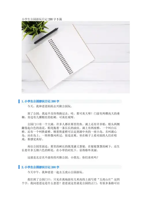 小学生公园游玩日记200字5篇 