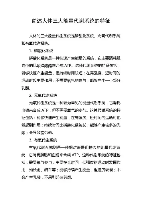 简述人体三大能量代谢系统的特征