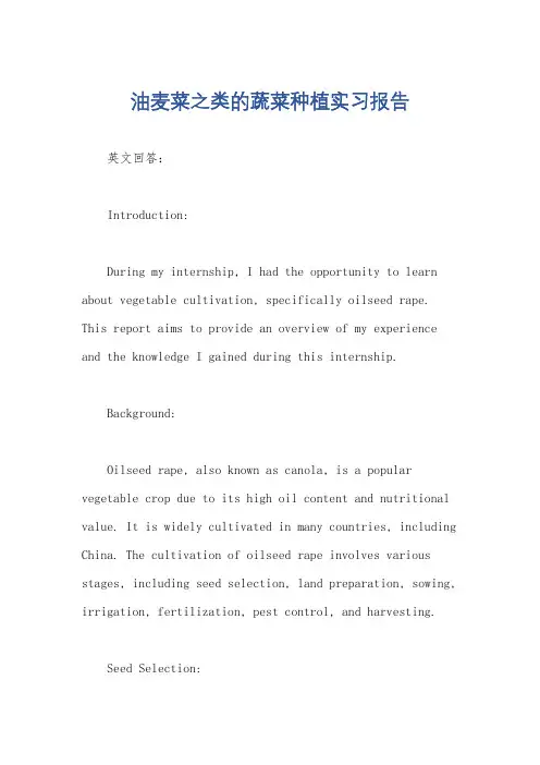 油麦菜之类的蔬菜种植实习报告