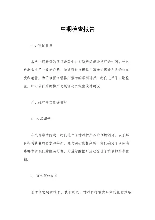 中期检查报告