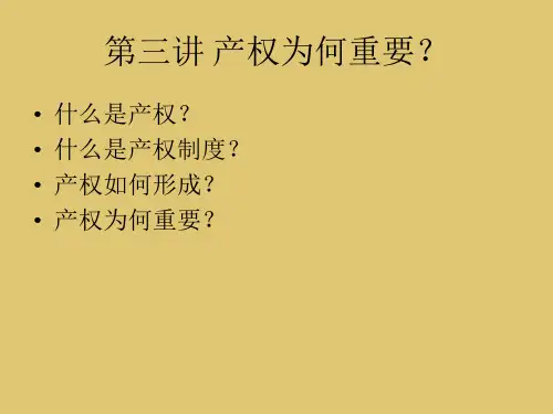 第三章 产权为何重要 《新制度经济学》PPT课件