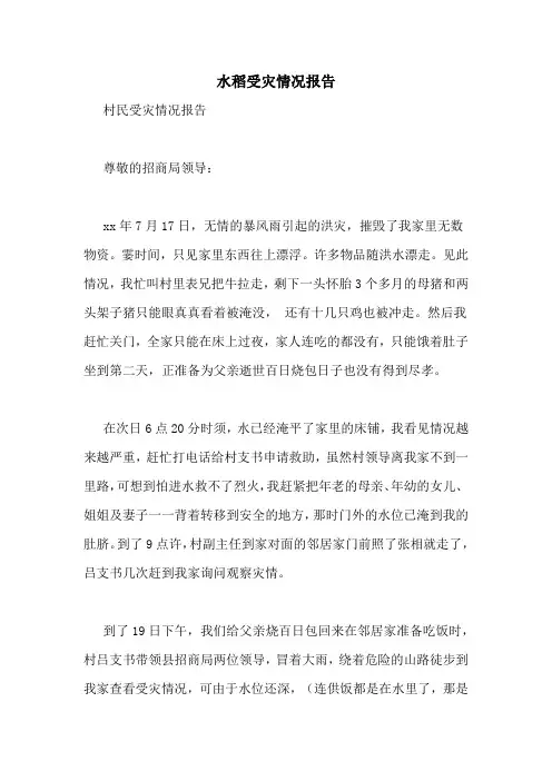 水稻受灾情况报告