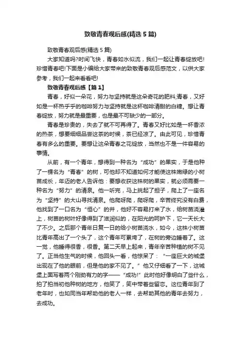致敬青春观后感（精选5篇）