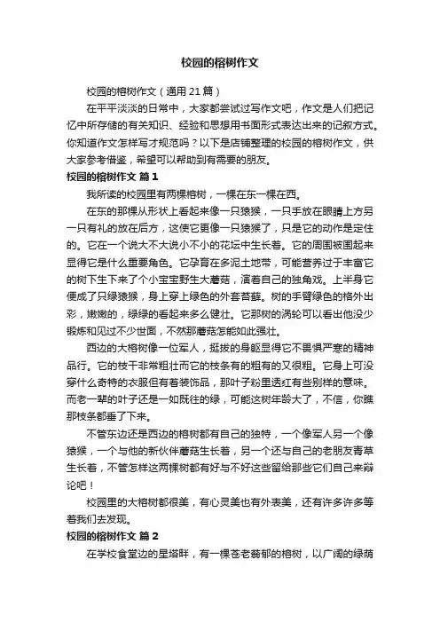 校园的榕树作文