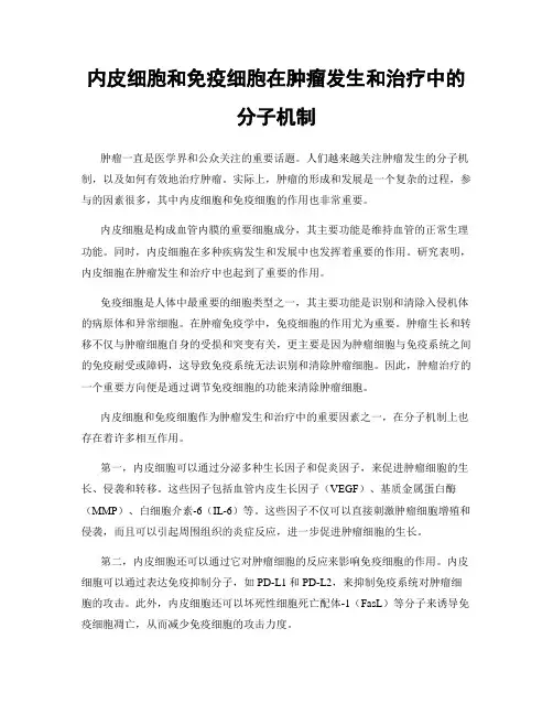 内皮细胞和免疫细胞在肿瘤发生和治疗中的分子机制