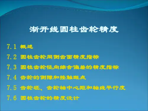 圆柱齿轮精度