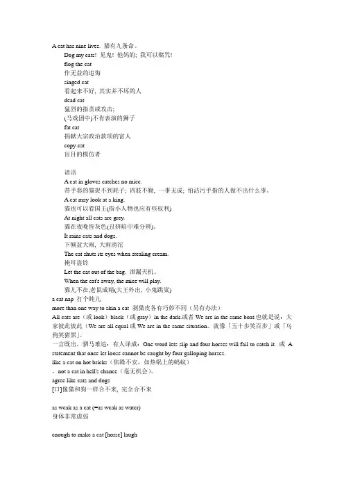 有关cat的英文谚语