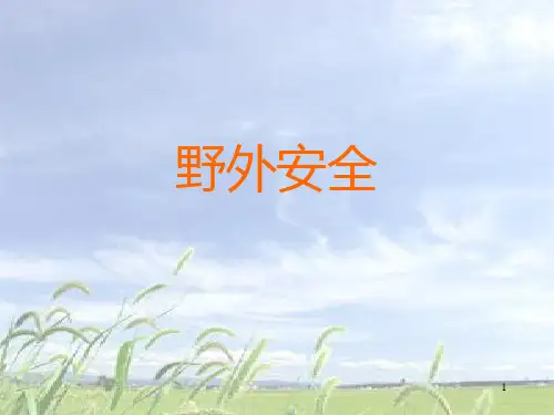 野外活动各种意外应急方法PPT课件