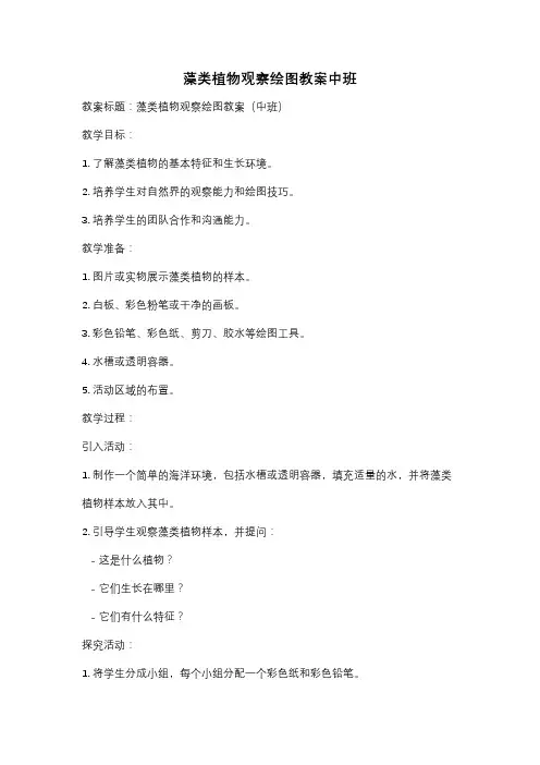藻类植物观察绘图教案中班