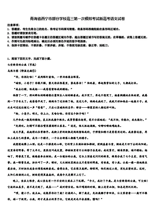 青海省西宁市部分学校高三第一次模拟考试新高考语文试卷及答案解析