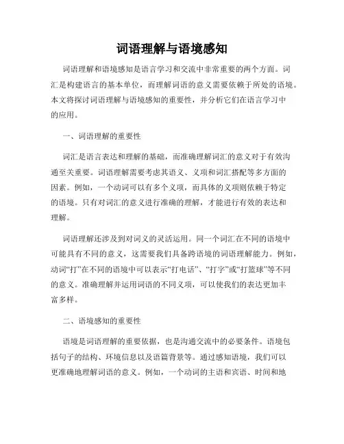 词语理解与语境感知