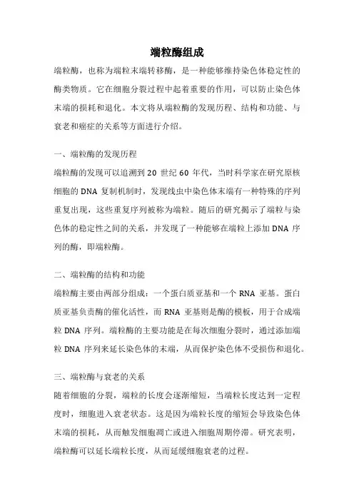 端粒酶组成