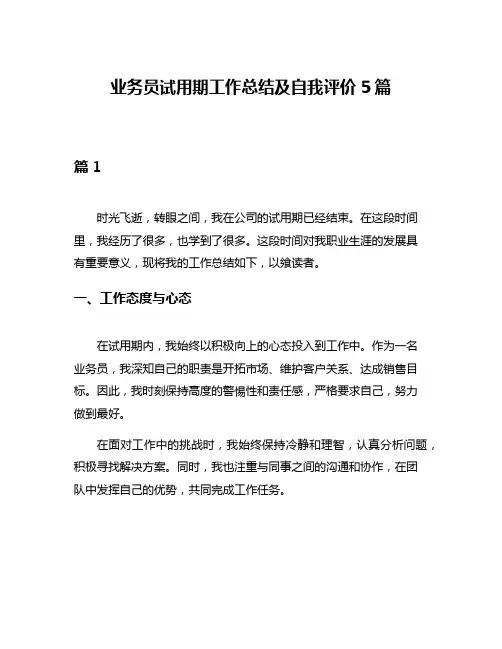 业务员试用期工作总结及自我评价5篇