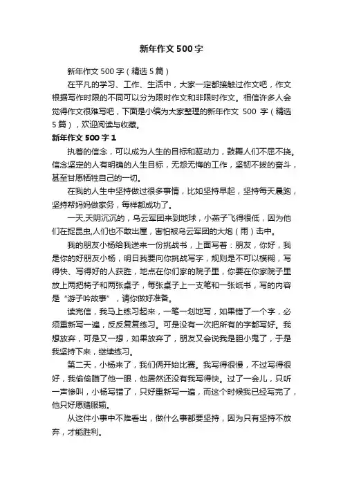 新年作文500字（精选5篇）