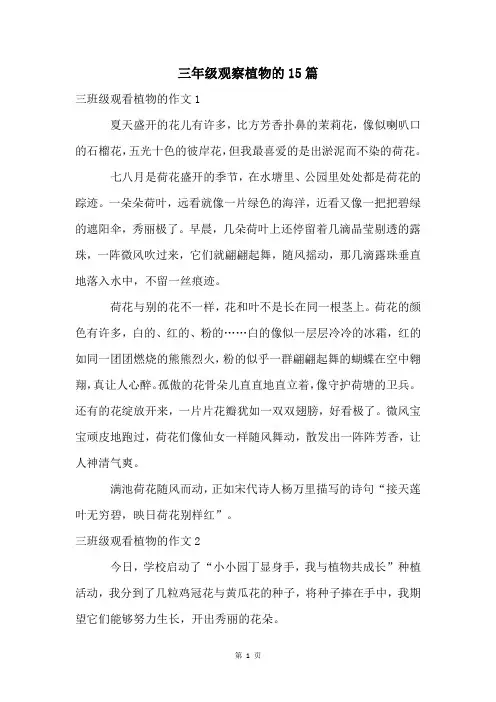三年级观察植物的15篇