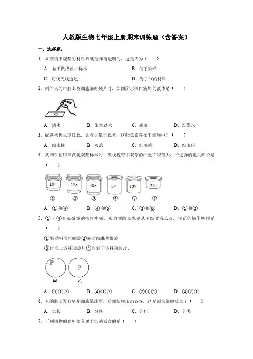 七年级上册生物易错题