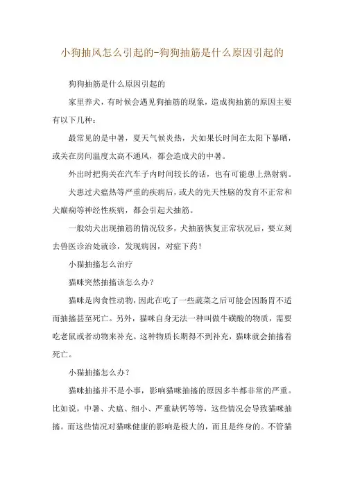 小狗抽风怎么引起的-狗狗抽筋是什么原因引起的