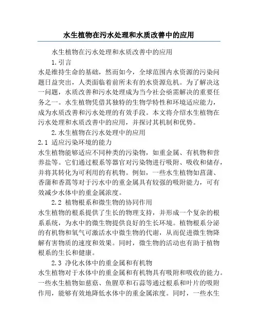 水生植物在污水处理和水质改善中的应用