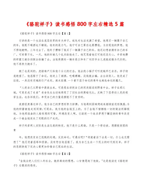 《骆驼祥子》读书感悟800字左右精选5篇