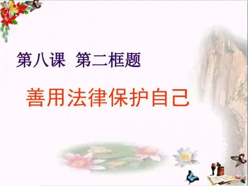 善用法律保护自己PPT课件4 人教版(21张)