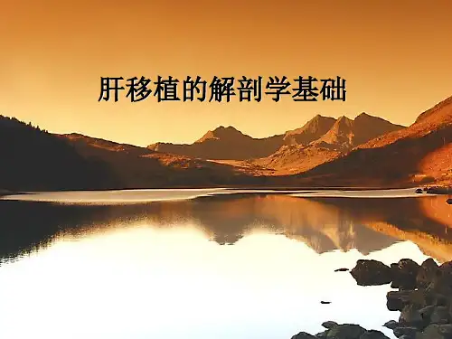 肝移植的解剖学基础PPT演示课件【52页】