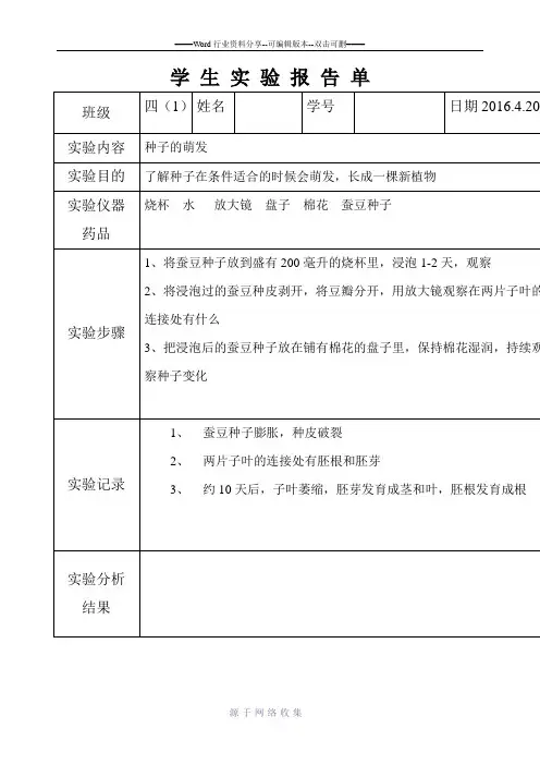 种子的萌发实验报告单12