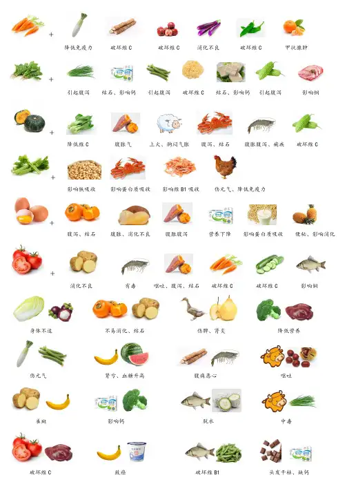 食物相克表