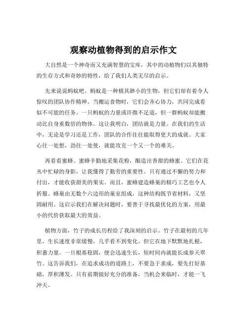 观察动植物得到的启示作文
