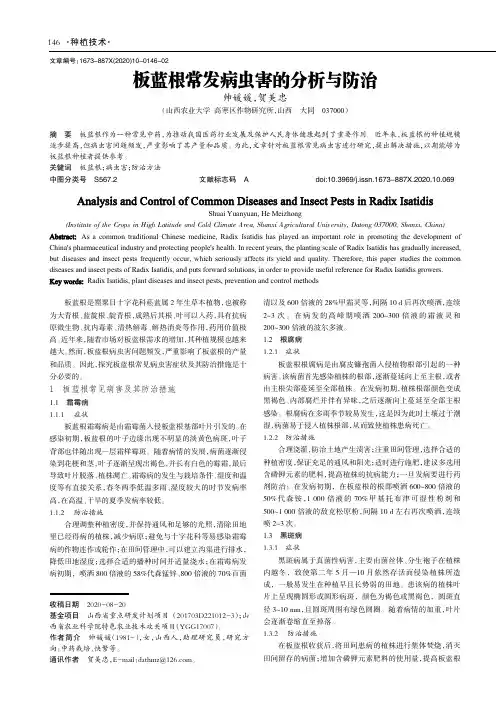 板蓝根常发病虫害的分析与防治