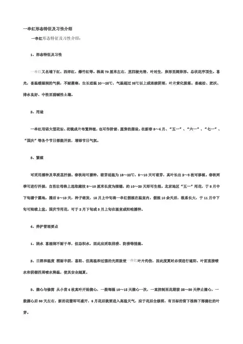 一串红形态特征及习性介绍