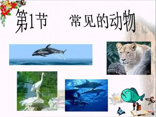 三年级科学上册2.2常见的动物PPT课件2湘教版