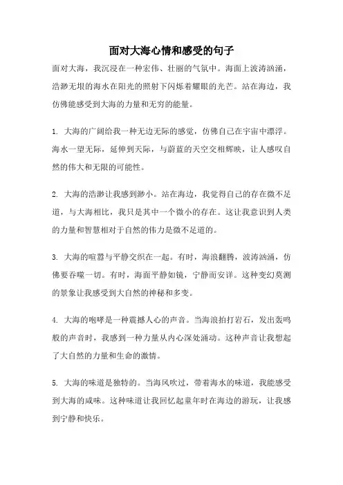 面对大海心情和感受的句子