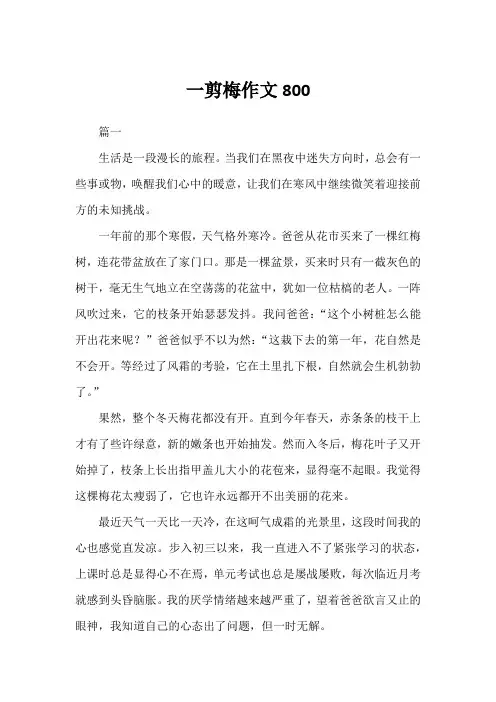 一剪梅作文800