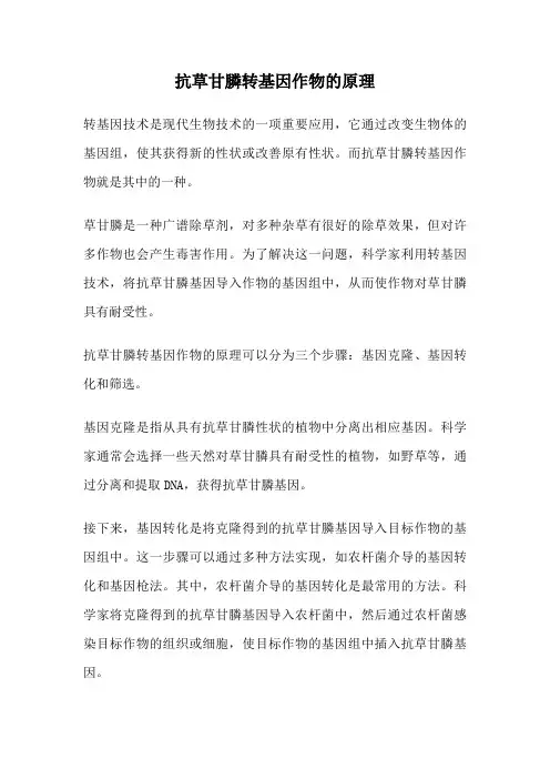 抗草甘膦转基因作物的原理