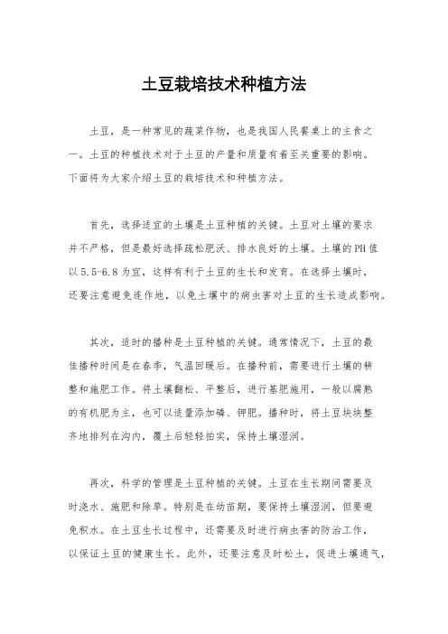 土豆栽培技术种植方法