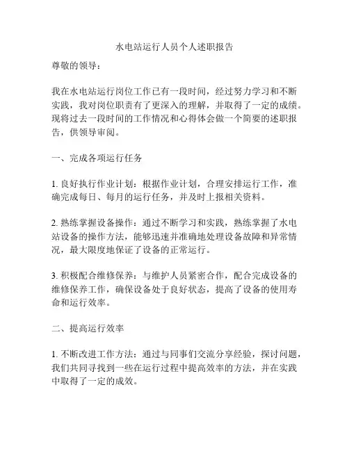 水电站运行人员个人述职报告
