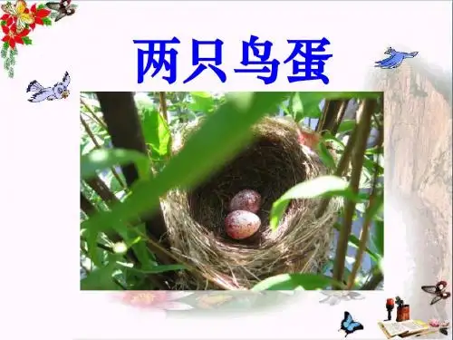 《两只鸟蛋》 精品PPT课件9