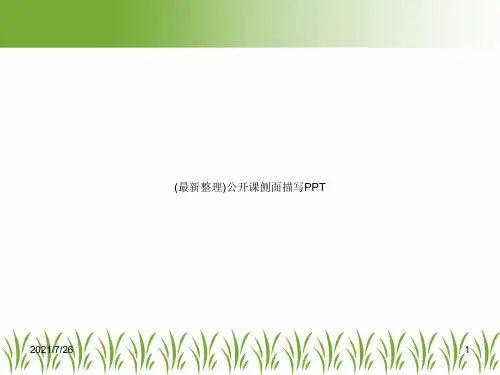 (最新整理)公开课侧面描写PPT