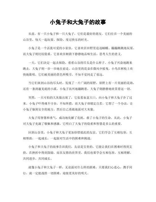 小兔子和大兔子的故事