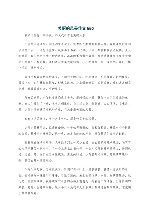 美丽的风景作文550