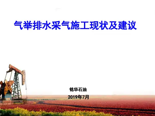 气举排水采气分析