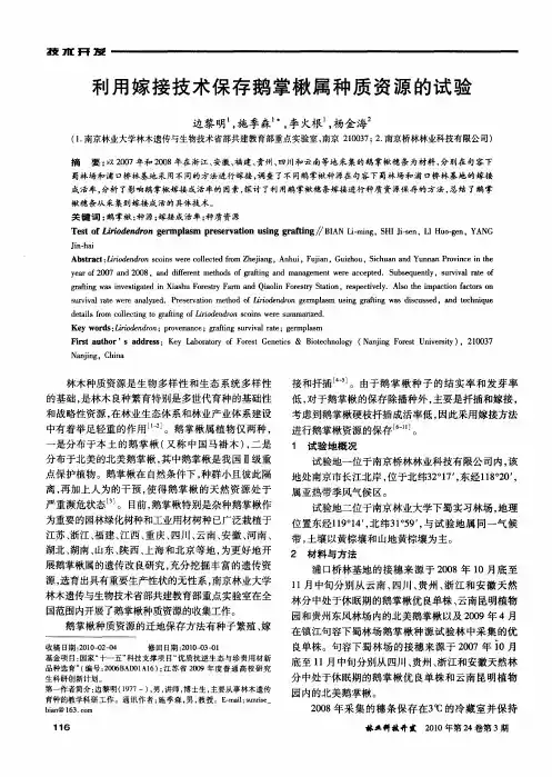 利用嫁接技术保存鹅掌楸属种质资源的试验