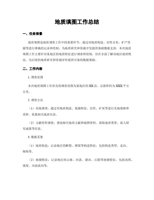 地质填图工作总结