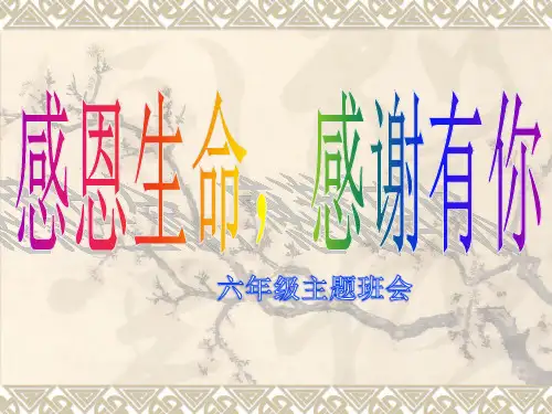 感谢有你-一路同行主题班会PPT