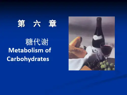 糖代谢PPT课件