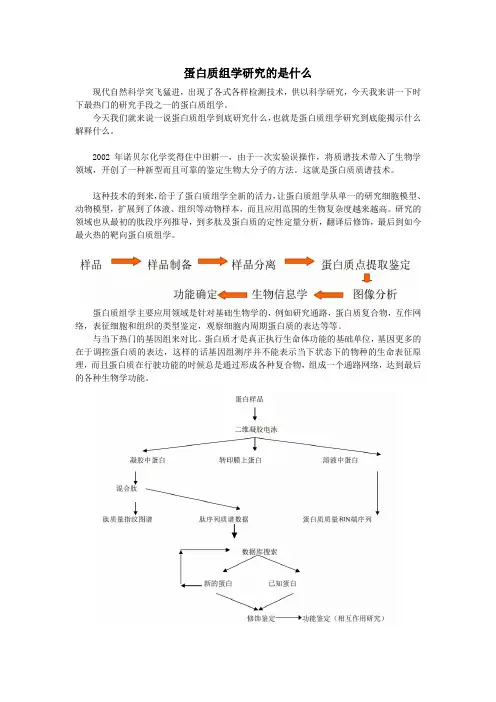 蛋白质组学到底研究什么