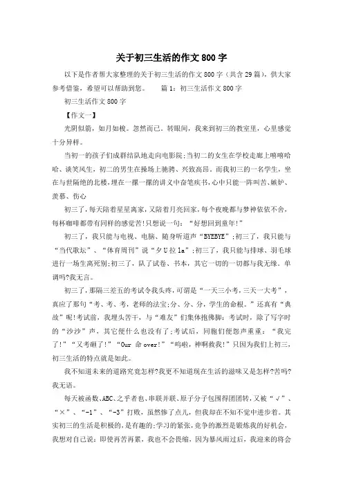 关于初三生活的作文800字