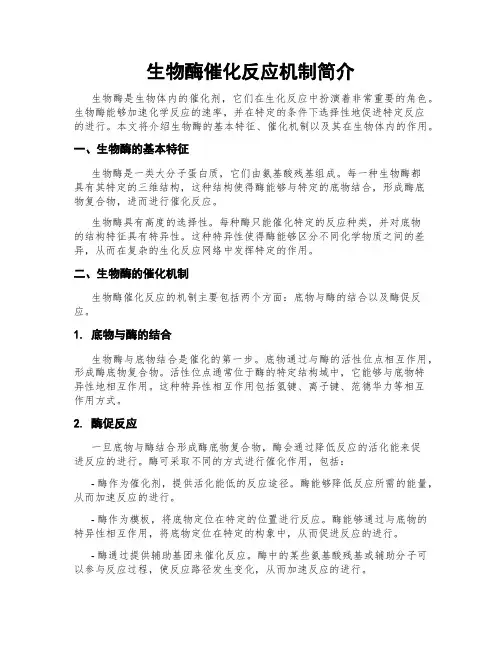 生物酶催化反应机制简介