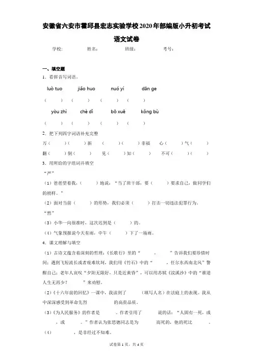 安徽省六安市霍邱县宏志实验学校2020年部编版小升初考试语文试卷(含答案解析)